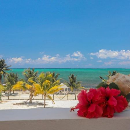 Treetops Hotel Caye Caulker Εξωτερικό φωτογραφία