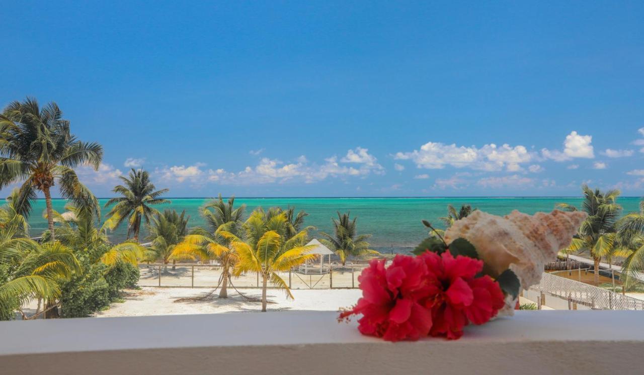Treetops Hotel Caye Caulker Εξωτερικό φωτογραφία