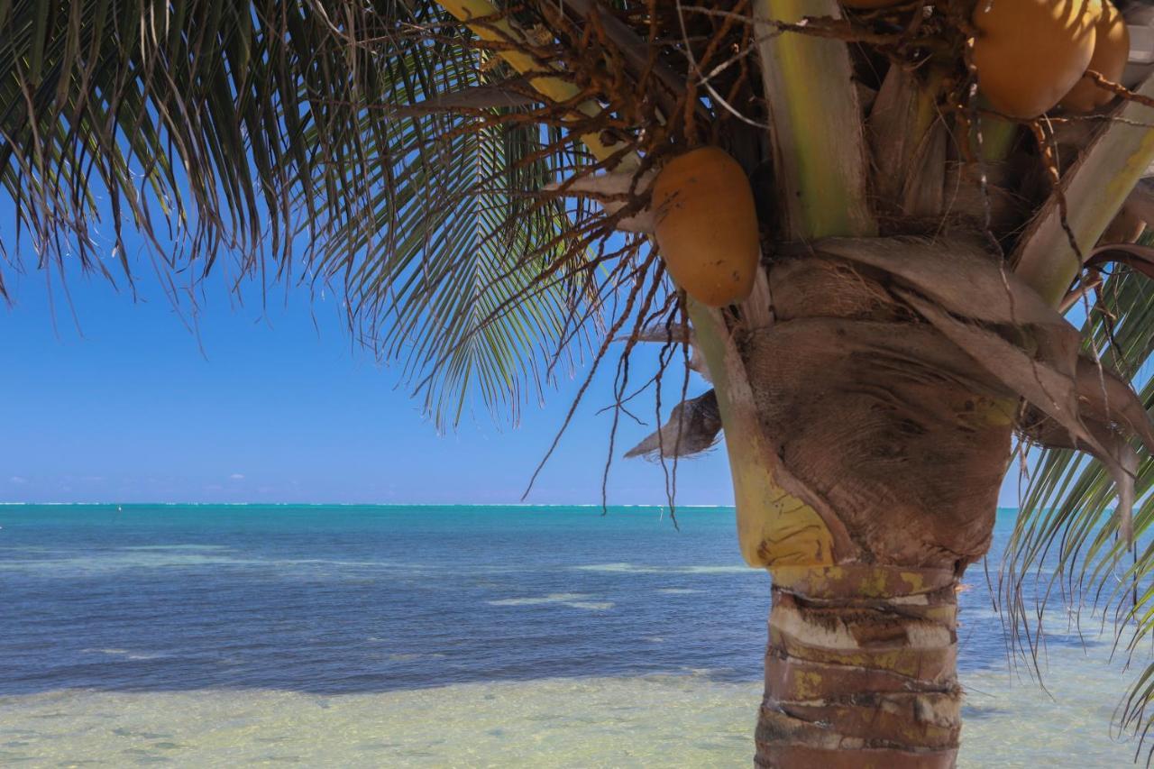 Treetops Hotel Caye Caulker Εξωτερικό φωτογραφία