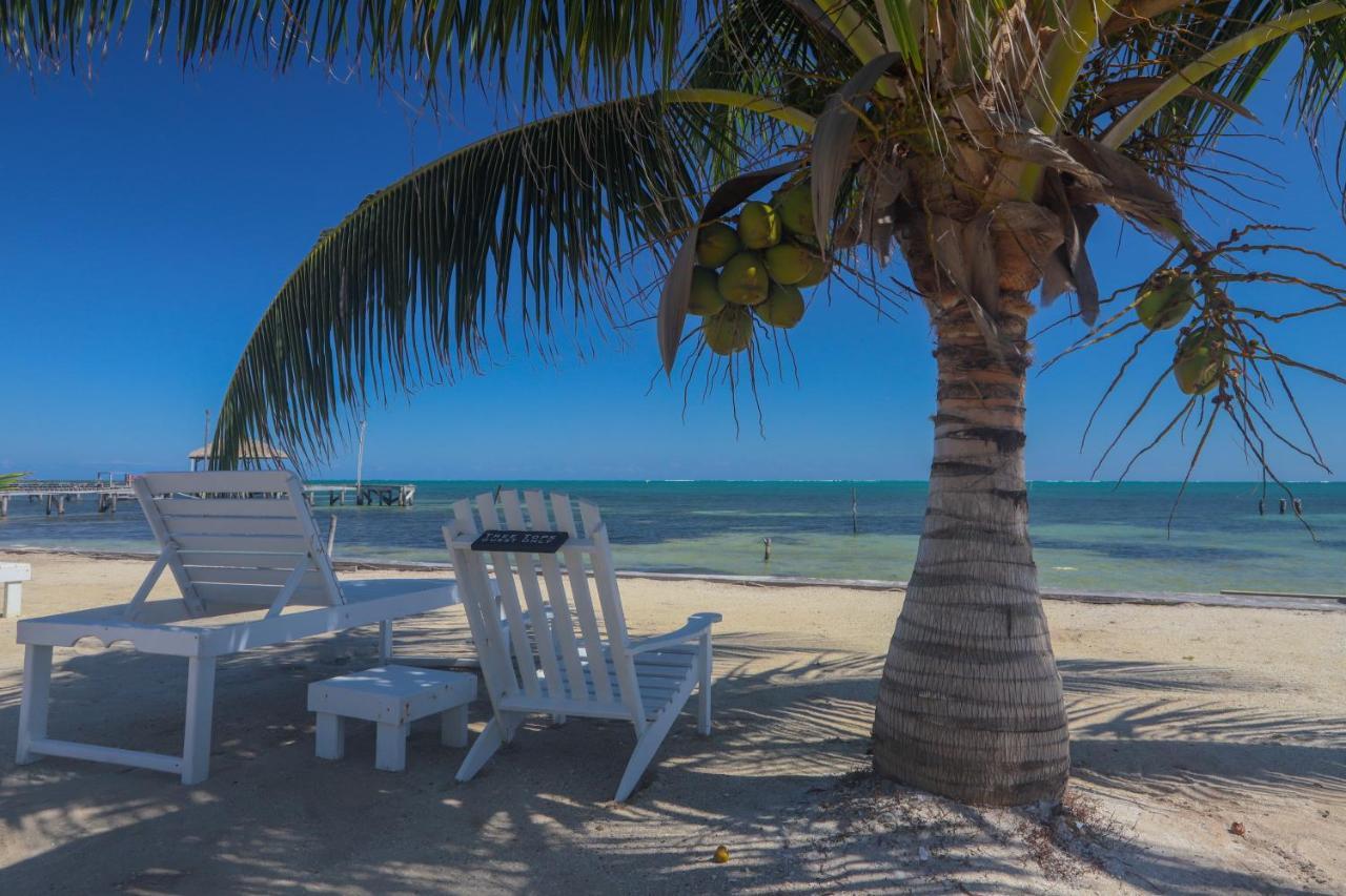 Treetops Hotel Caye Caulker Εξωτερικό φωτογραφία