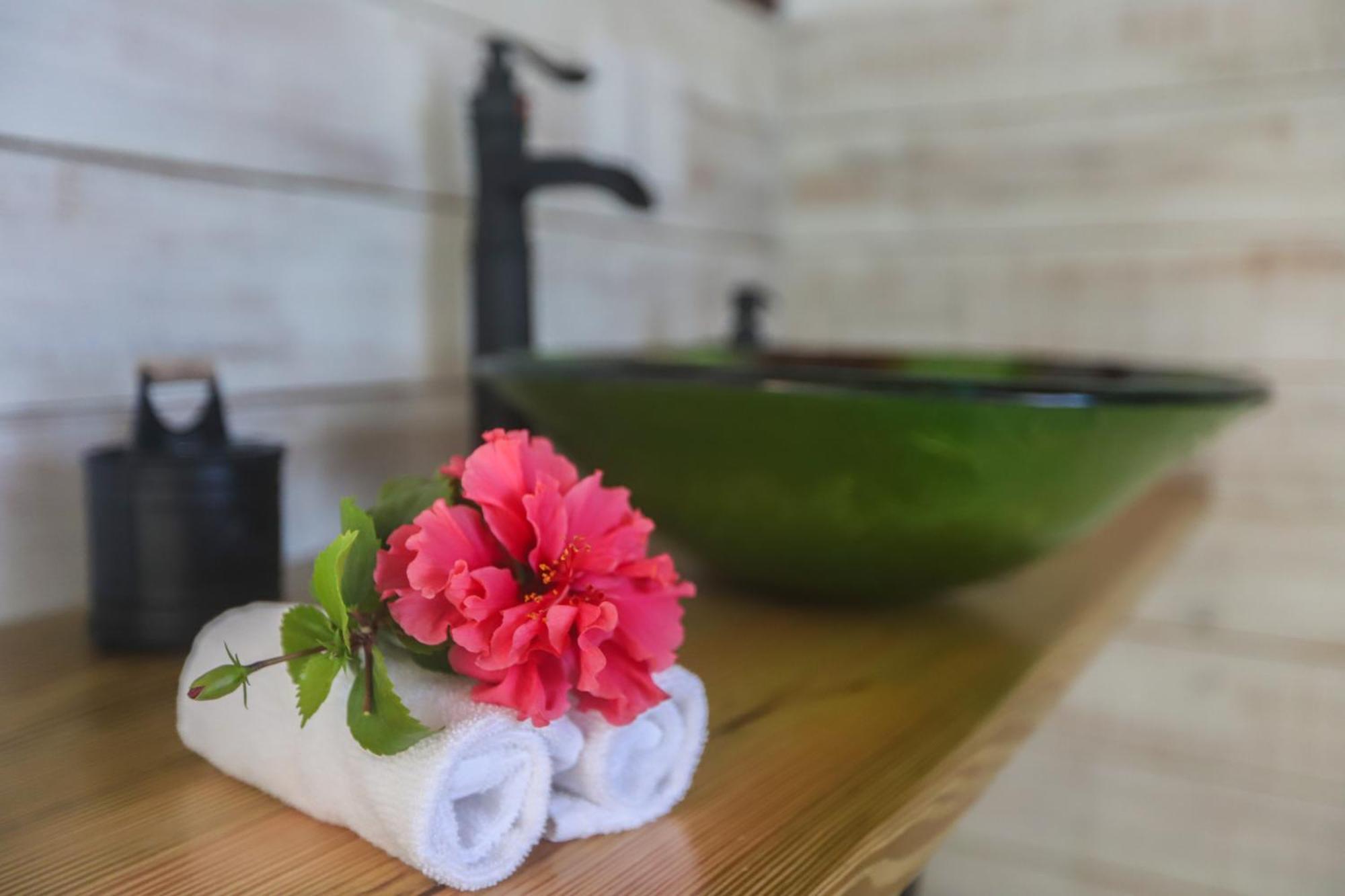 Treetops Hotel Caye Caulker Δωμάτιο φωτογραφία